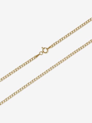 FAVS Kette in Gold