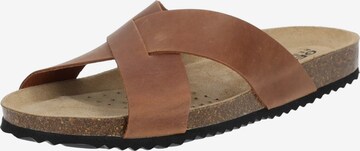 GEOX Mules in Brown: front