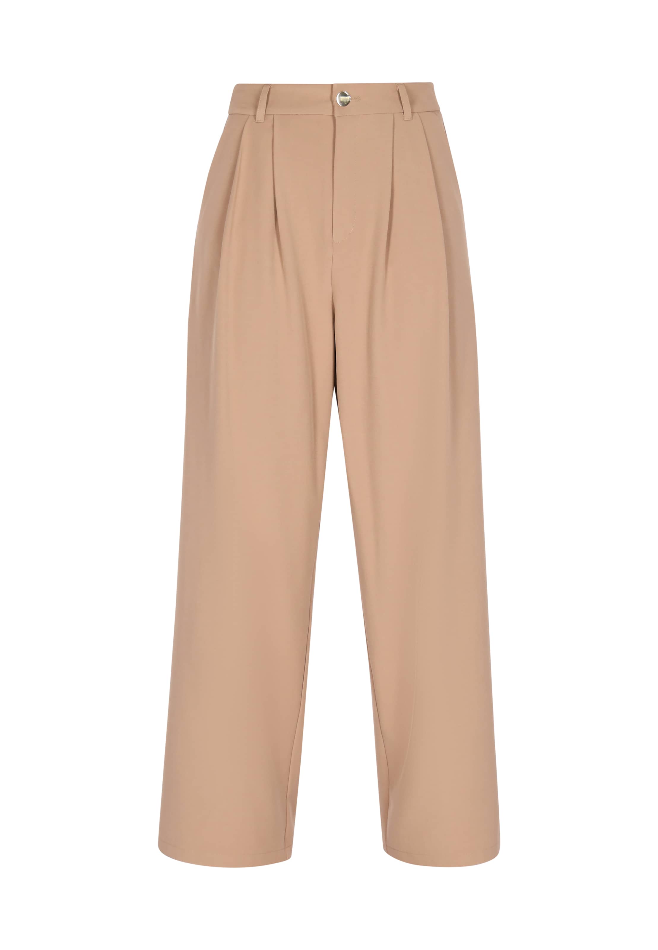 faina - regular Pantalón plisado 'Festive' en gris: frente