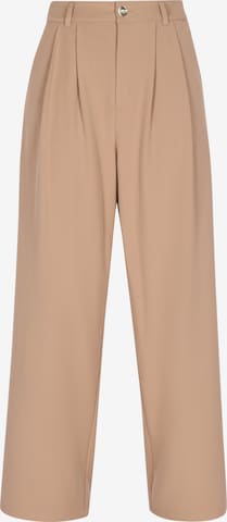 faina - Pantalón plisado 'Festive' en gris: frente