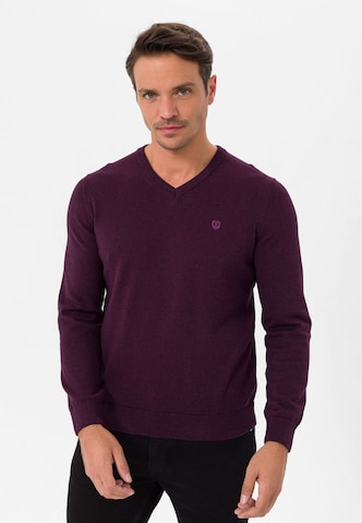 Jimmy Sanders Sweater in Purple
