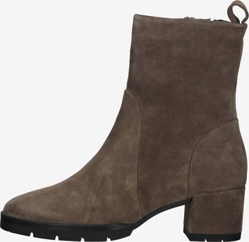 Högl Ankle Boots in Grey