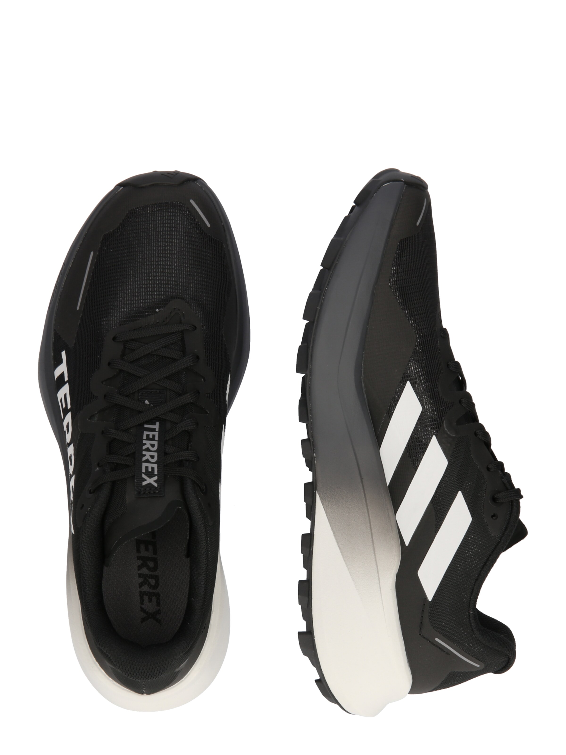 Scarpa bassa 'Agravic 3' di ADIDAS TERREX in nero