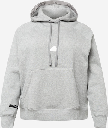 Sweat de sport ADIDAS SPORTSWEAR en gris : devant