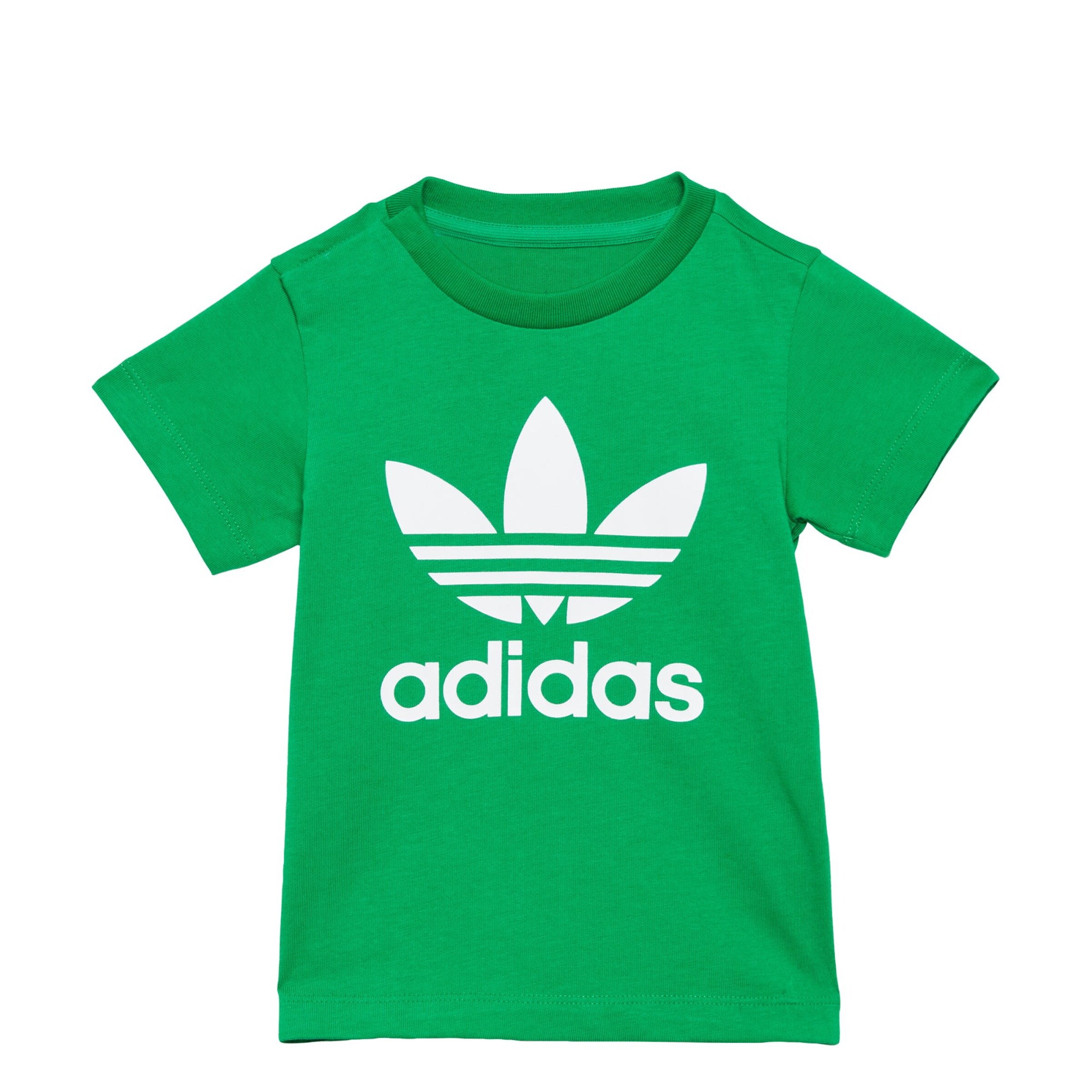 ADIDAS ORIGINALS Shirt 'Trefoil' in Green: front