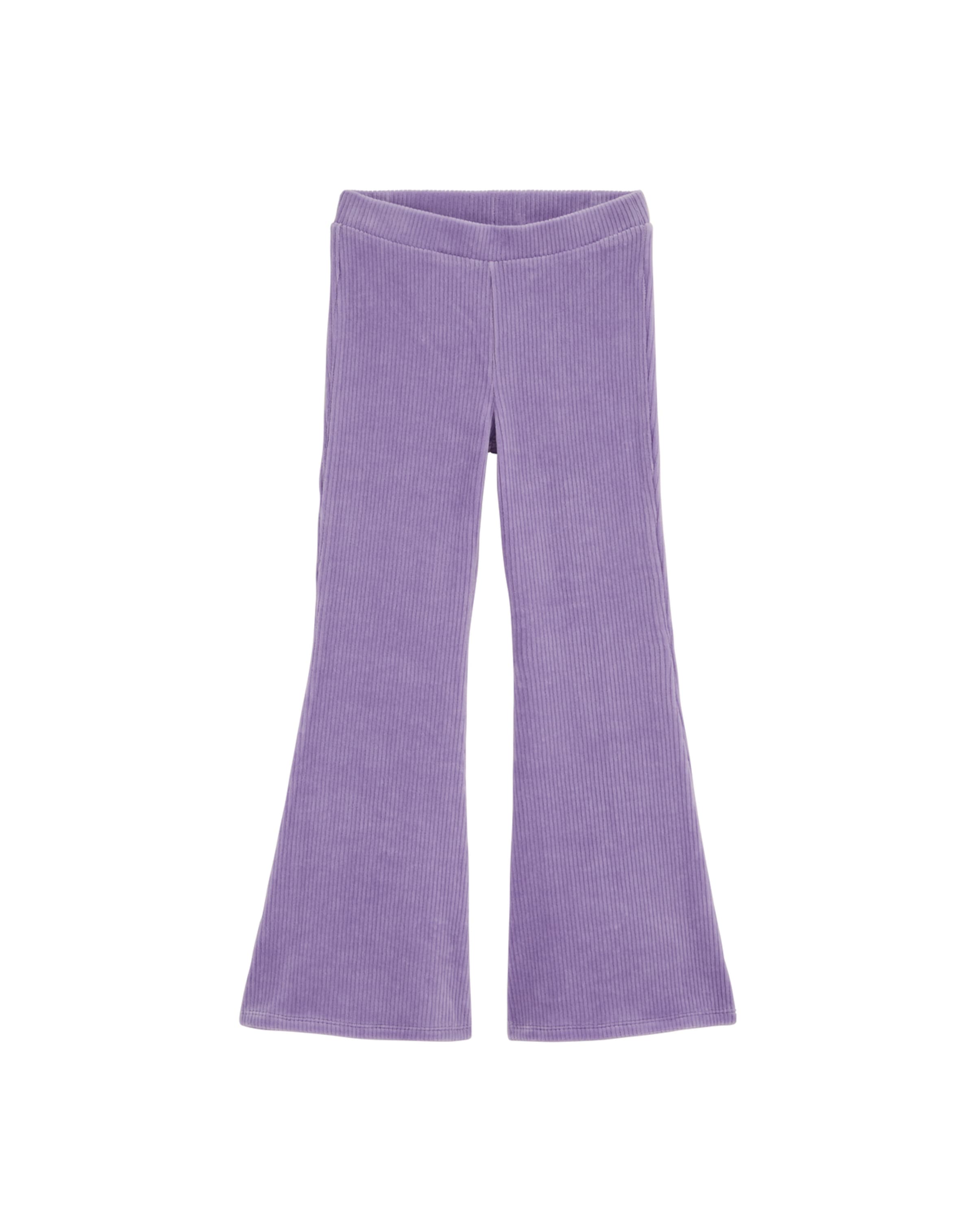 WE Fashion Flared Broek in Lila: voorkant