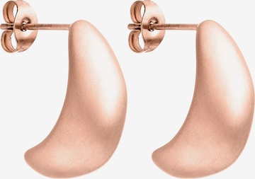 PURELEI Earrings 'Drop' in Gold: front