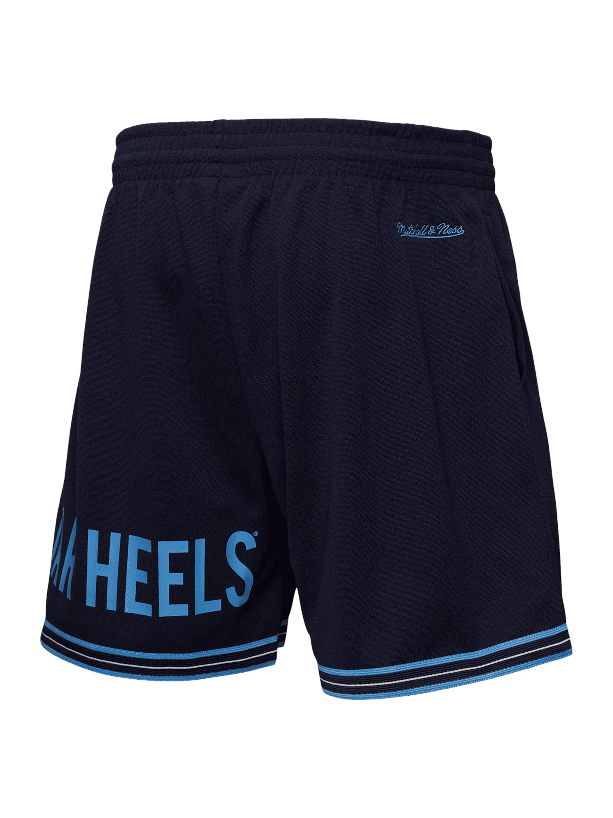 Regular Pantalon Mitchell & Ness en bleu