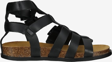 Kickers Strap Sandals in Black