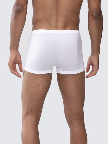 Boxers Mey en blanc