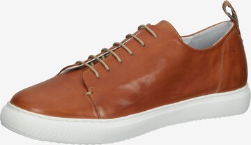 Everybody Sneakers in Brown: front