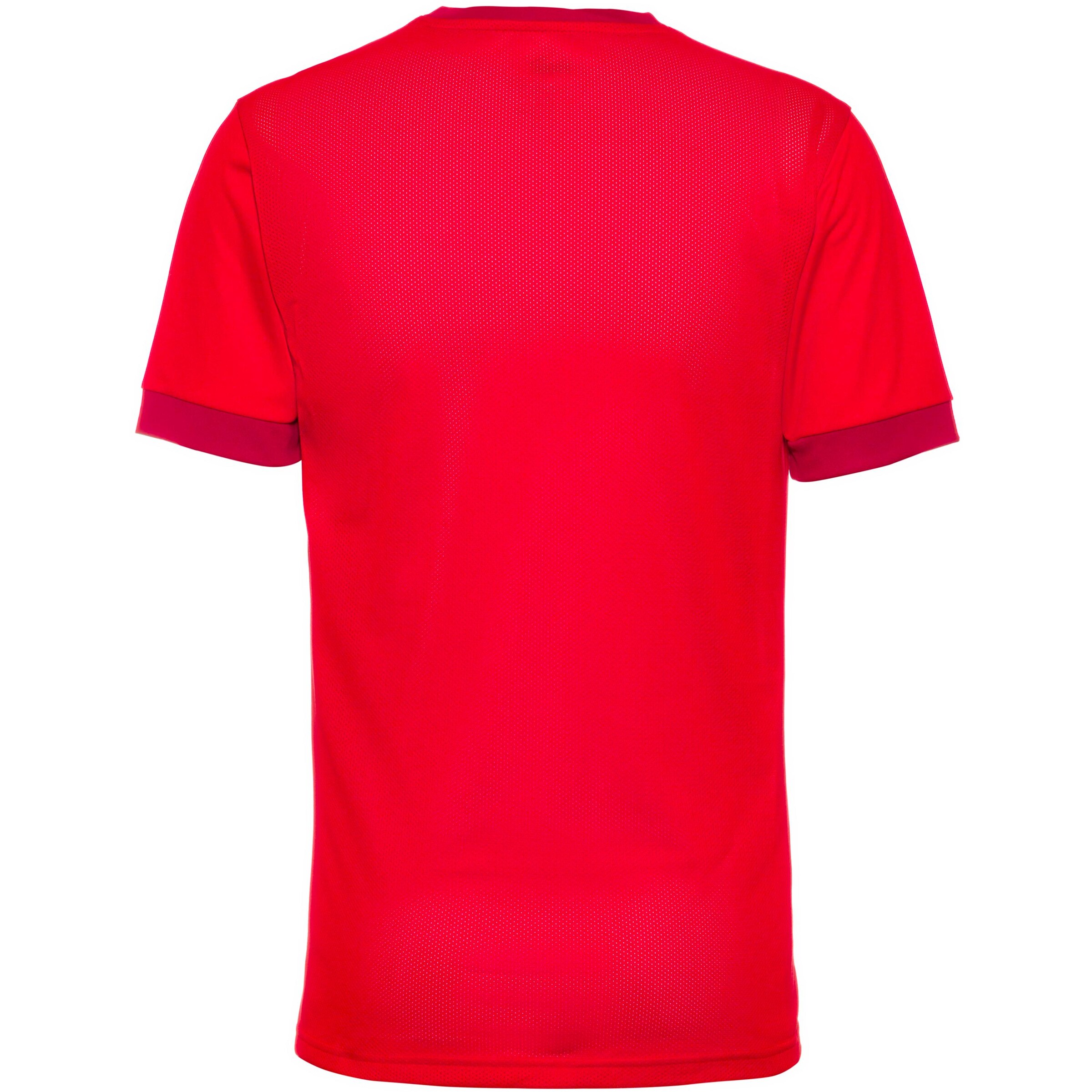 PUMA Jersey 'TeamGoal 23' in Red