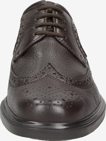 SIOUX Lace-Up Shoes ' Pacco-J ' in Brown