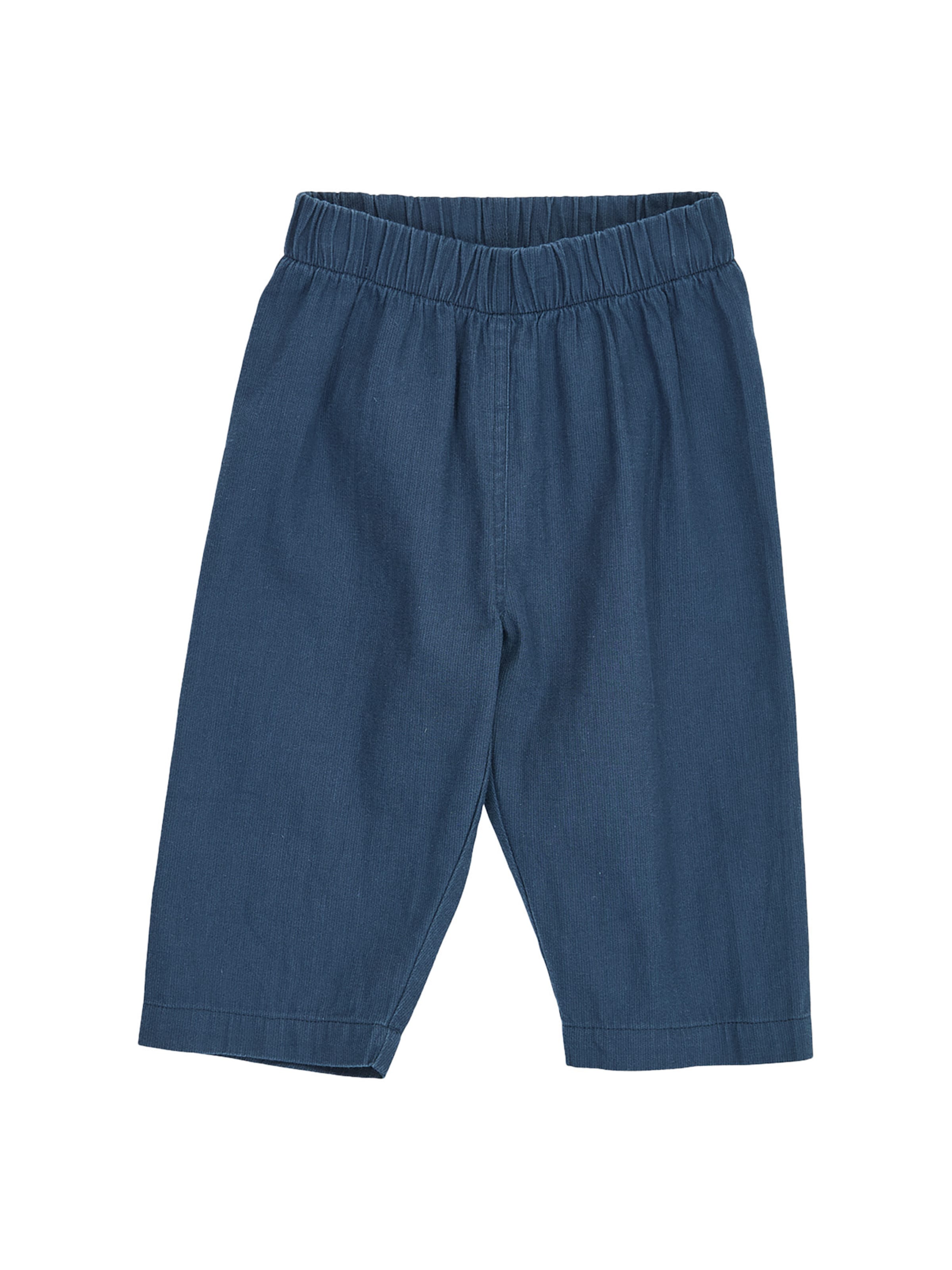 Loosefit Pantalon Müsli by GREEN COTTON en bleu : devant