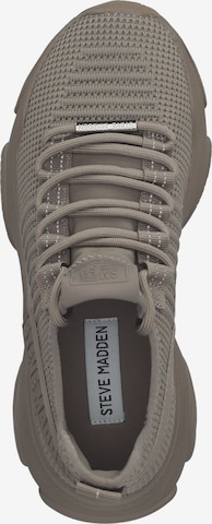 STEVE MADDEN Sneakers in Grey