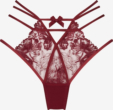 Panty 'Michayla' di Hunkemöller in rosso: frontale