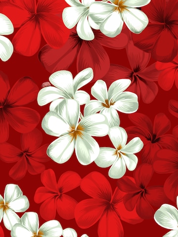 Hawaiihemdshop.de Regularny krój Koszula 'Hawaiihemd "Classic Red"' w kolorze czerwony