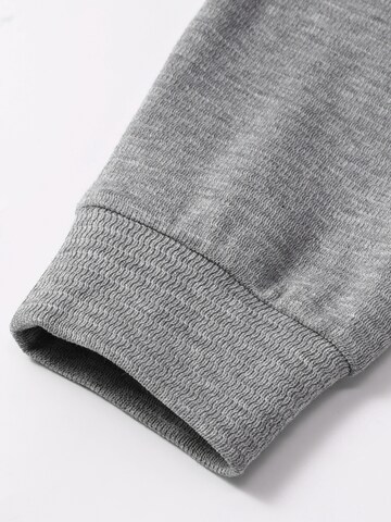 ALLTHEMEN Shirt 'Schwinge' in Grey
