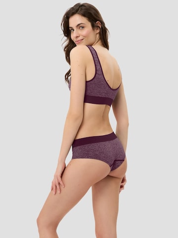 BeeDees Slip 'Slip Comfee Hipster Seamless'‌‌‌‌‌‌‌ in Lila