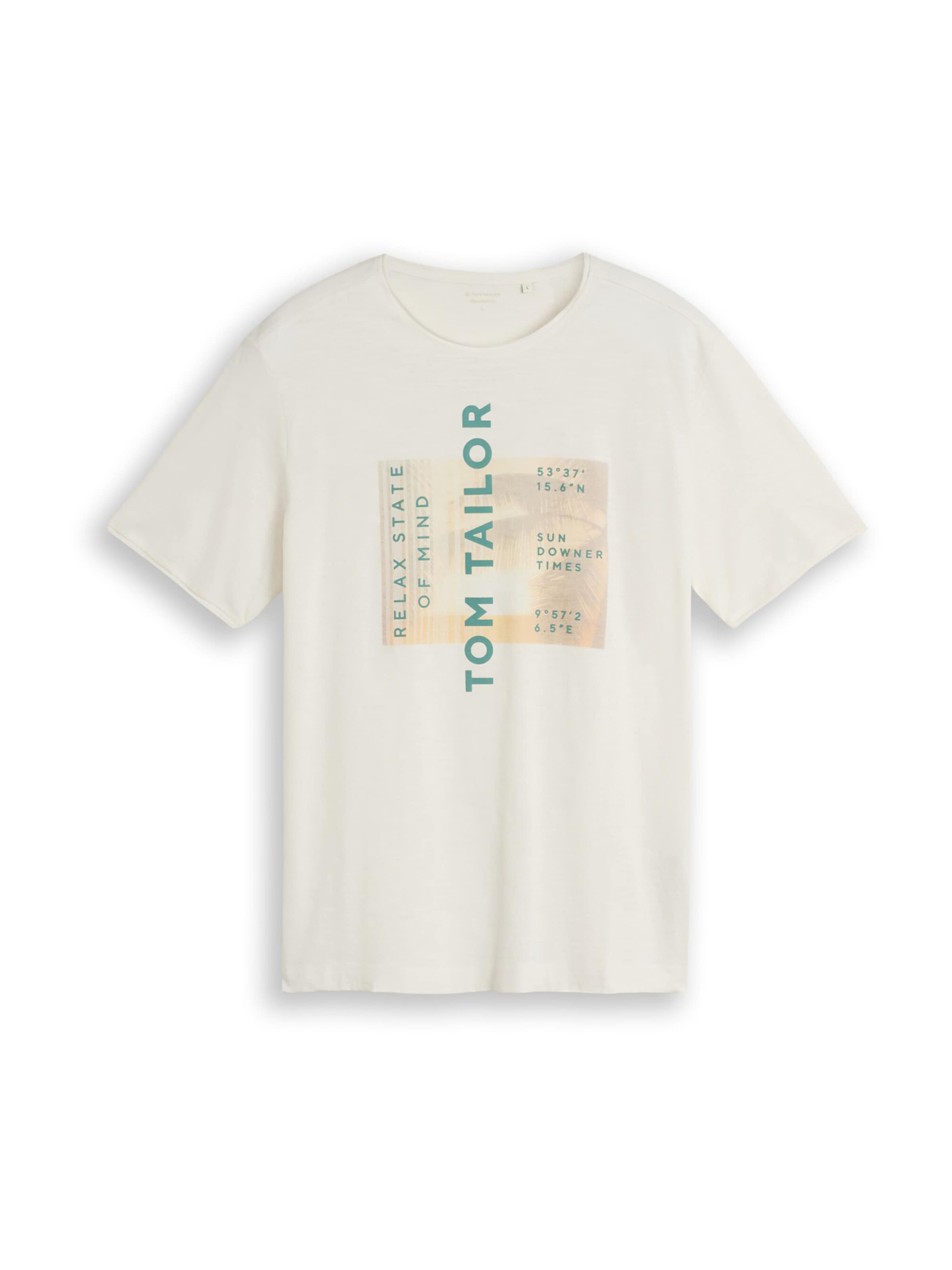 TOM TAILOR Shirt in White: front