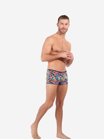 HOM Boxer shorts ' Wonka ' in Mixed colours