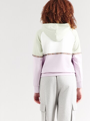 Iriedaily Mikina 'Kachina' - Fialová