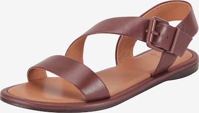 Ekonika Sandalen in braun, Produktansicht
