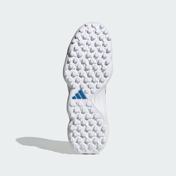 Scarpa sportiva di ADIDAS PERFORMANCE in blu