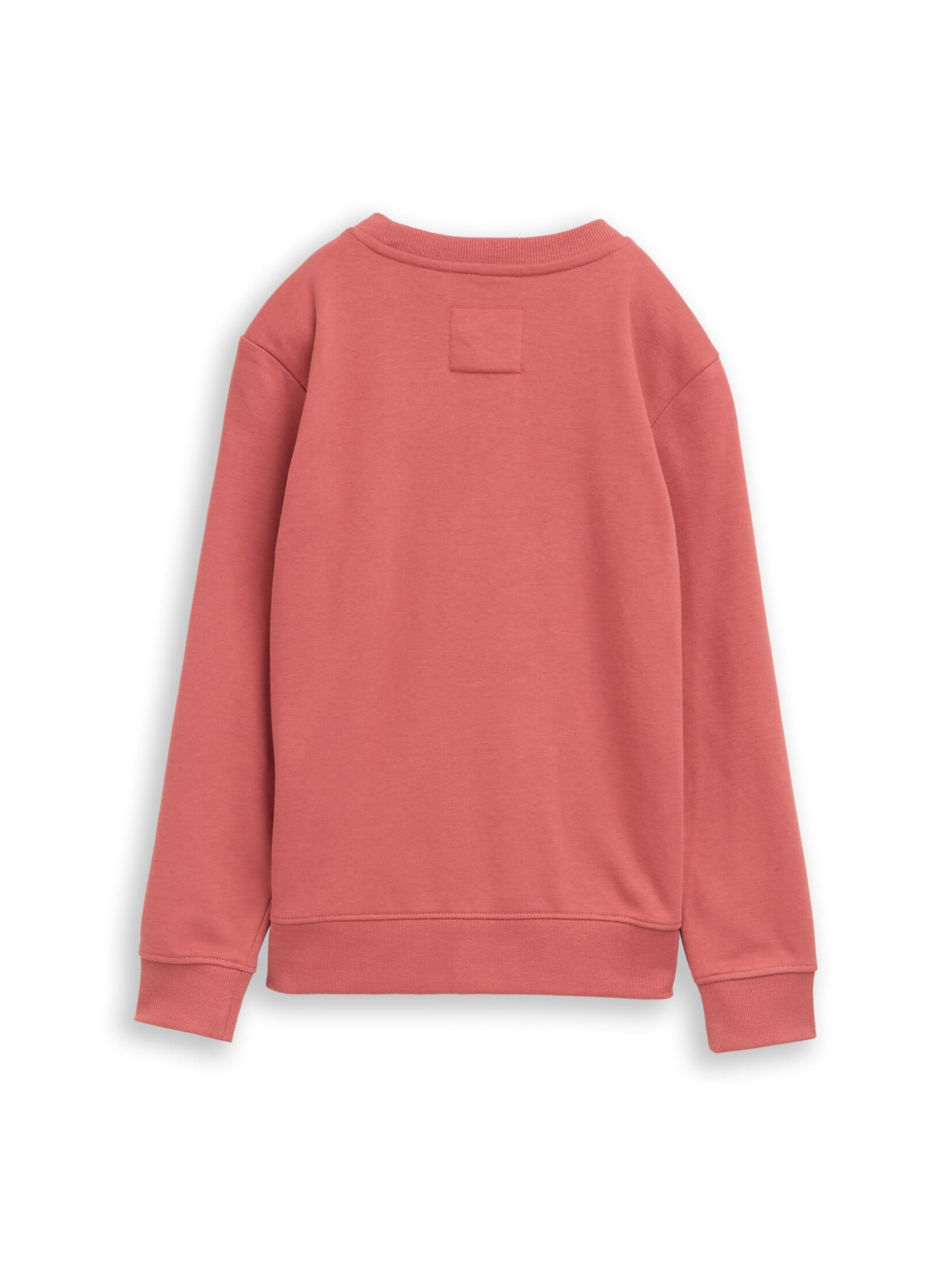 TOM TAILOR Sweatshirt in Red