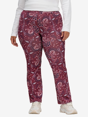 sheego by Joe Browns Regular Pants in Red: front