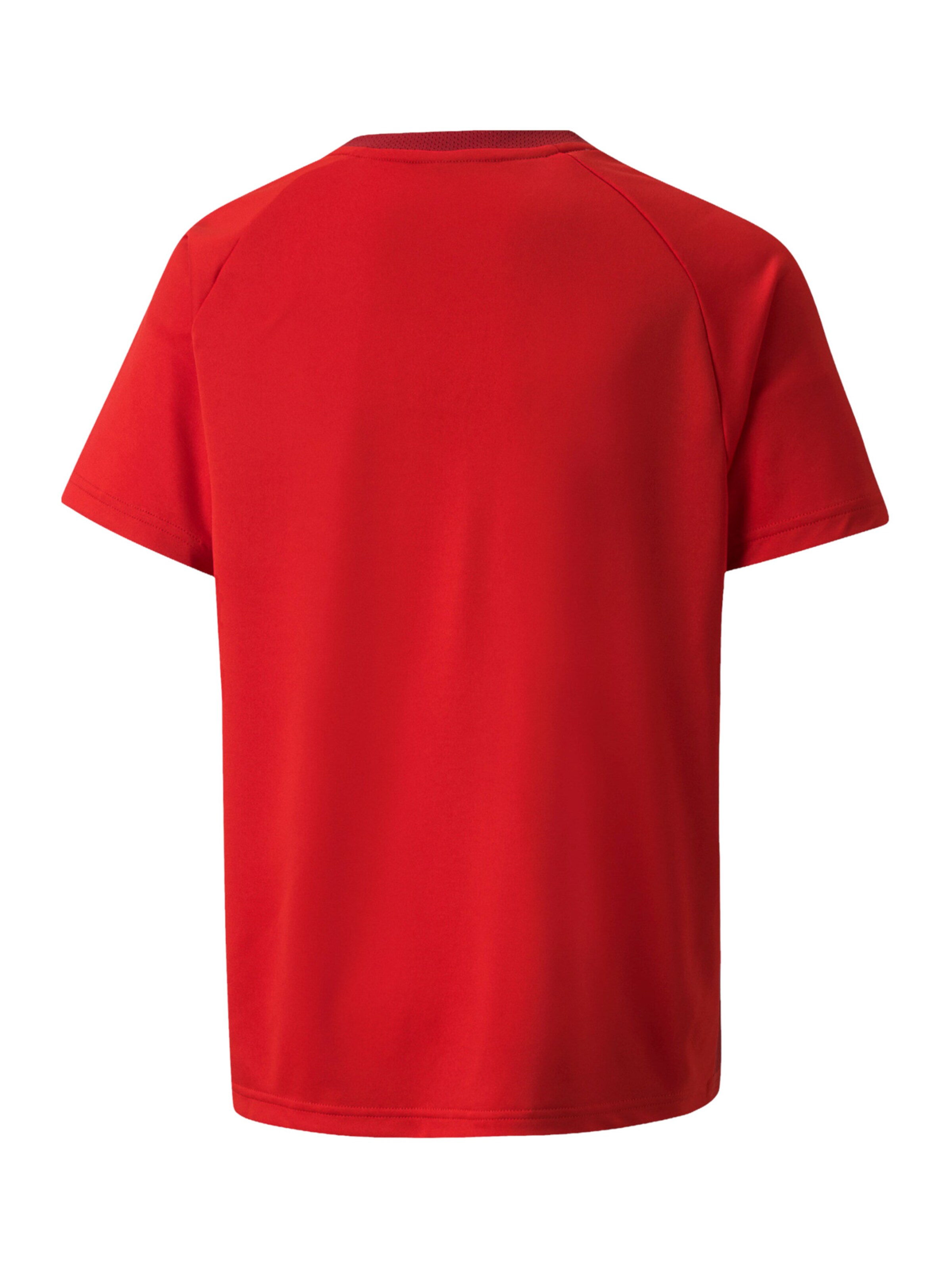 PUMA Performance Shirt 'TeamVision' in Red