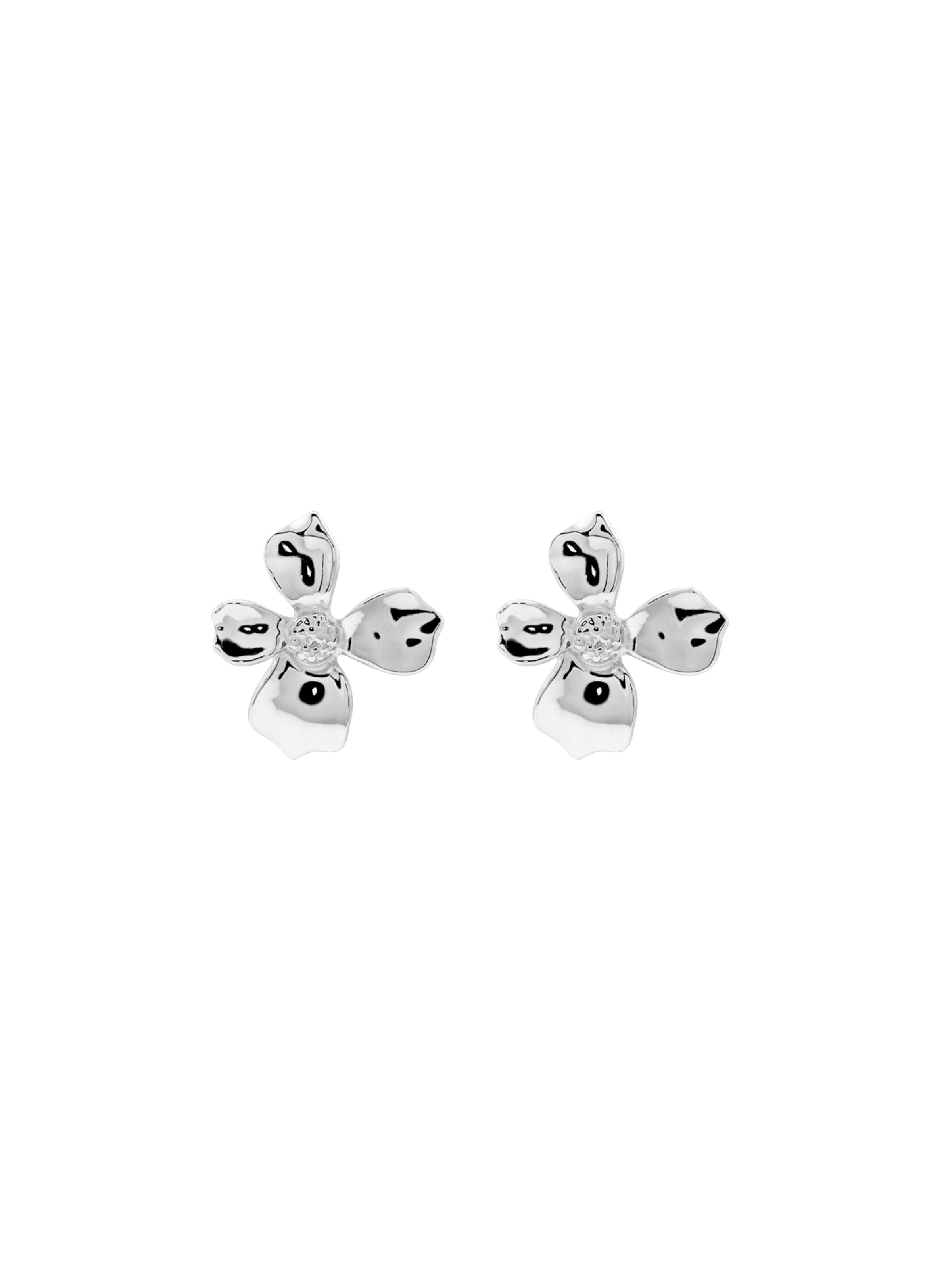Heideman Earrings in Silver