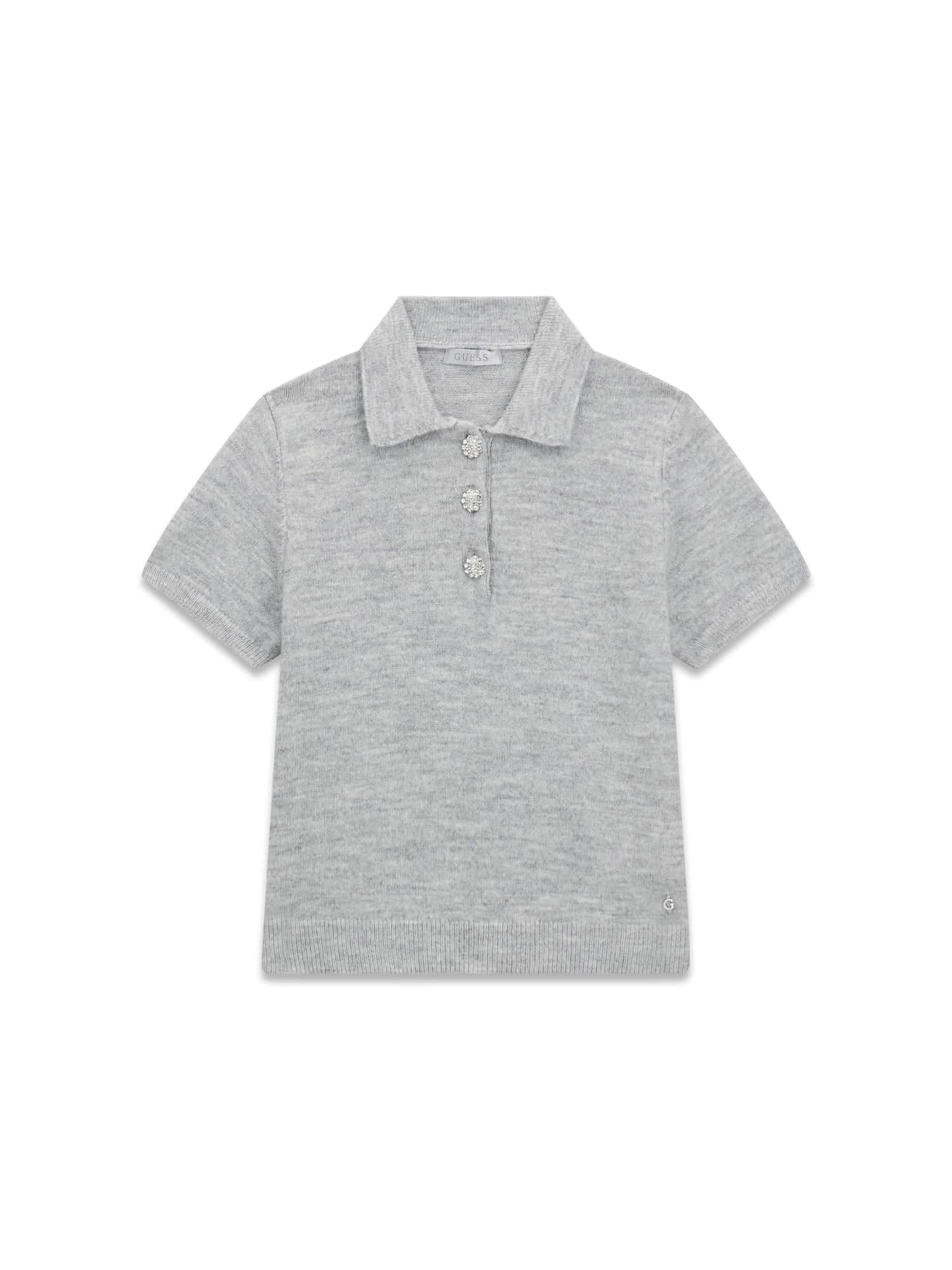 GUESS Sweater in Grey: front