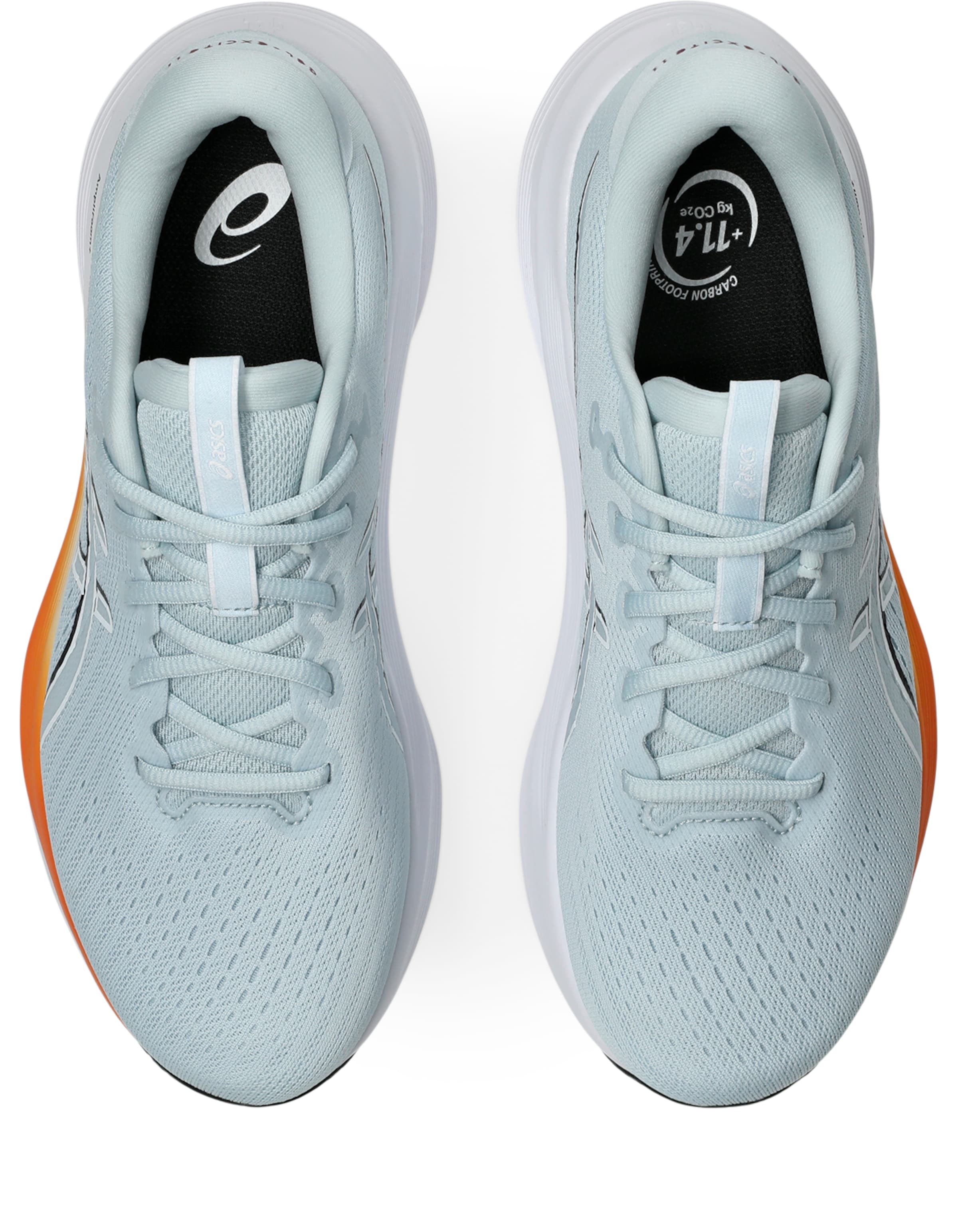 ASICS Running Shoes in Blue