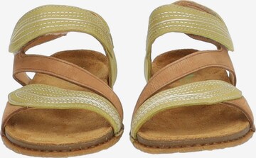 EL NATURALISTA Sandals 'Panglao' in Brown