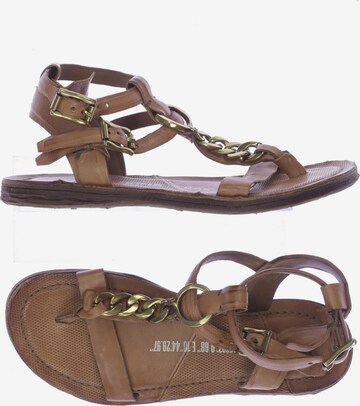 A.S.98 Sandals & High-Heeled Sandals in 38 in Brown: front