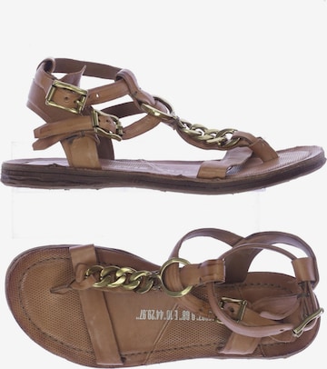 A.S.98 Sandalen 38 in Braun: predná strana