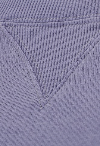 Athlecia Athletic Sweatshirt 'Eudonie' in Purple