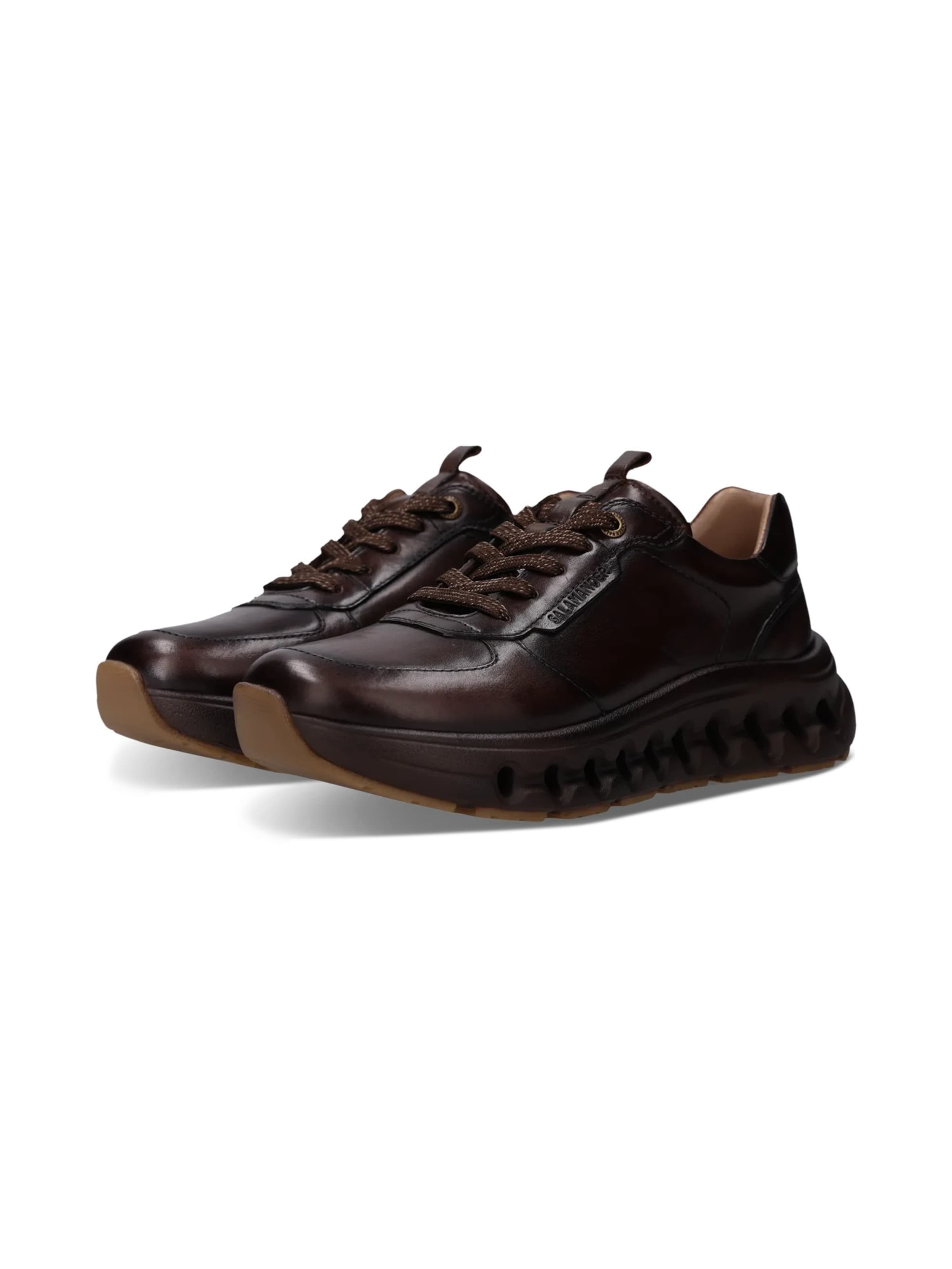 Baskets basses SALAMANDER en marron