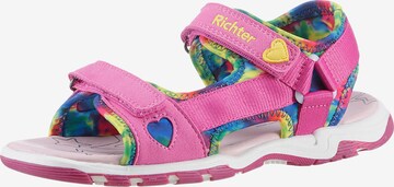 Richter Schuhe Sandals in Pink: front