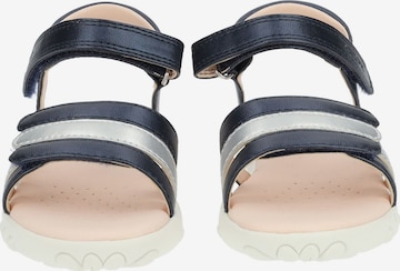 GEOX Sandals in Blue