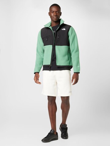 THE NORTH FACE Funktionsfleecejacke 'Denali' in Grün