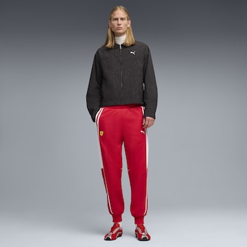 PUMA Tapered Sportbroek 'Scuderia Ferrari MT7' in Rood