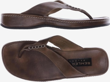 SEMLER Sandals & High-Heeled Sandals in 36 in Brown: front
