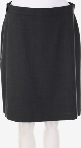 HIRSCH Skirt in XL in Grey: front