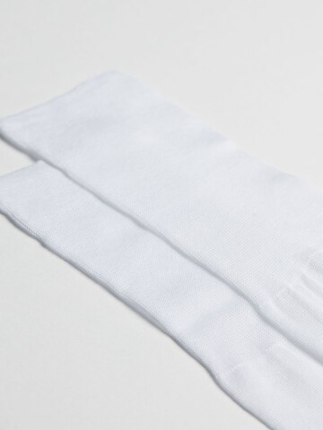 CALZEDONIA Knee High Socks in White: front