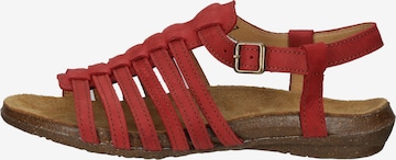 EL NATURALISTA Sandalen met riem in Rood