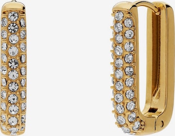 Lucardi Earrings in Gold: front