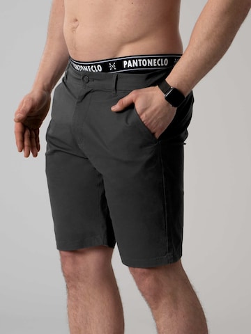 PANTONECLO Slimfit Chino 'Pantoneclo Men’s Chino Shorts' in Grijs