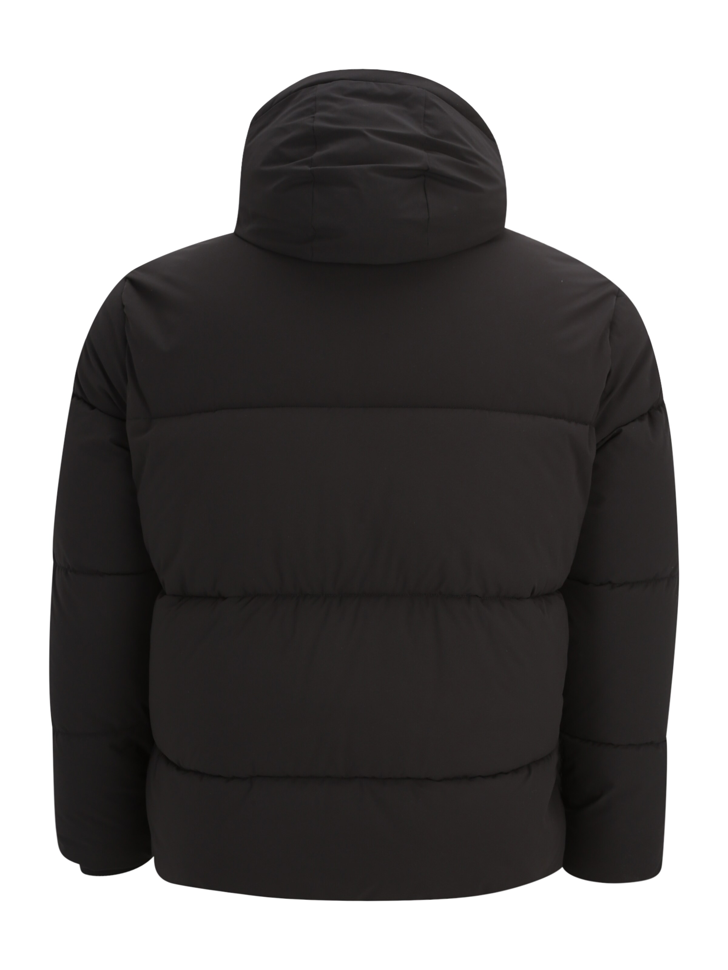 Jack & Jones Plus - Chaqueta de invierno 'JORVesterbro' en negro